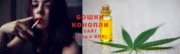 альфа пвп Новодвинск